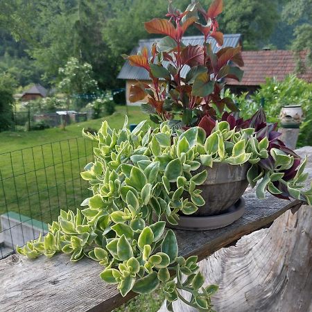 Apartmaji Katrc Soča Buitenkant foto