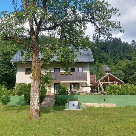 Apartmaji Katrc Soča Buitenkant foto