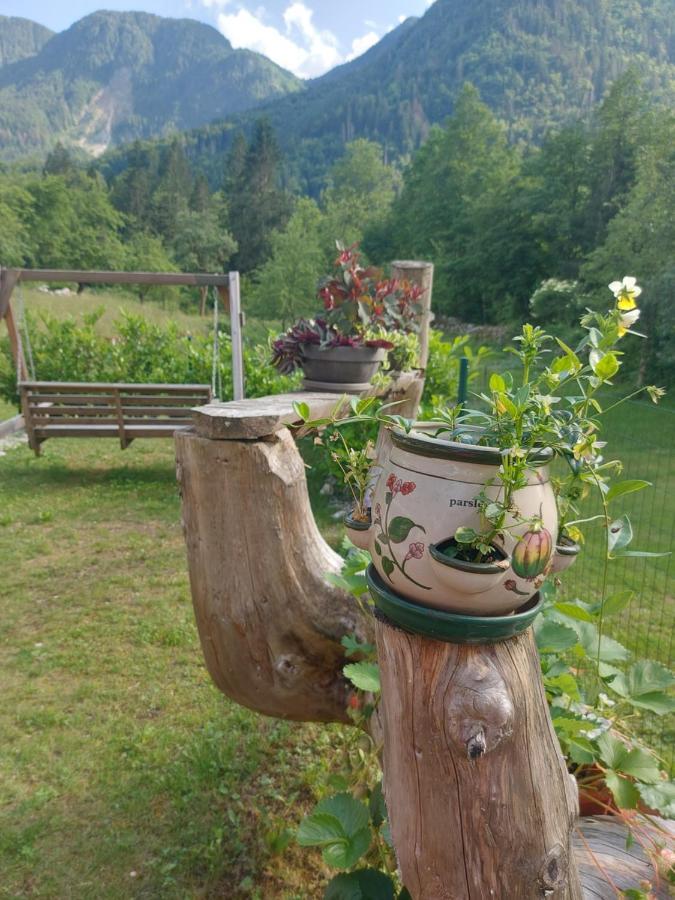 Apartmaji Katrc Soča Buitenkant foto