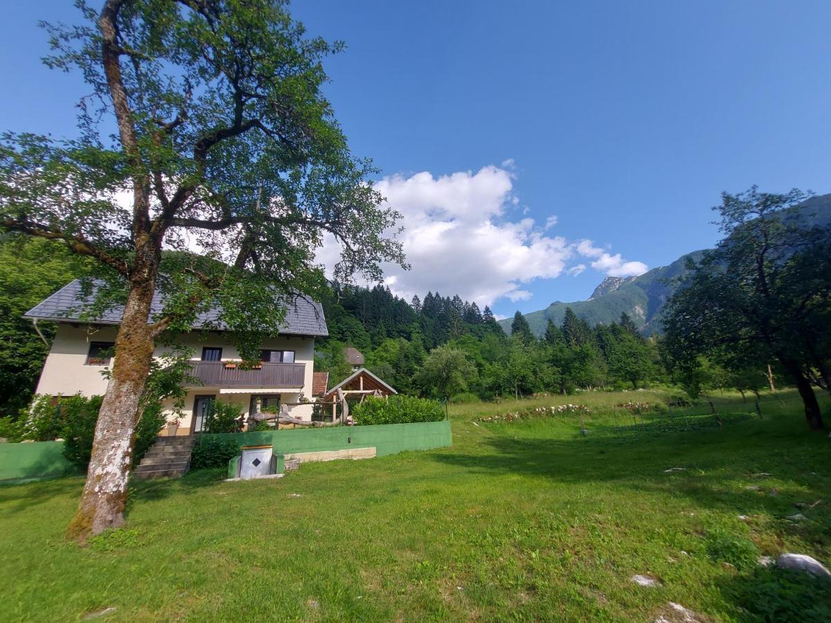 Apartmaji Katrc Soča Buitenkant foto