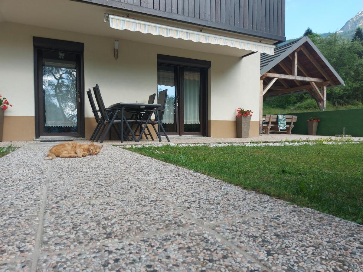 Apartmaji Katrc Soča Buitenkant foto
