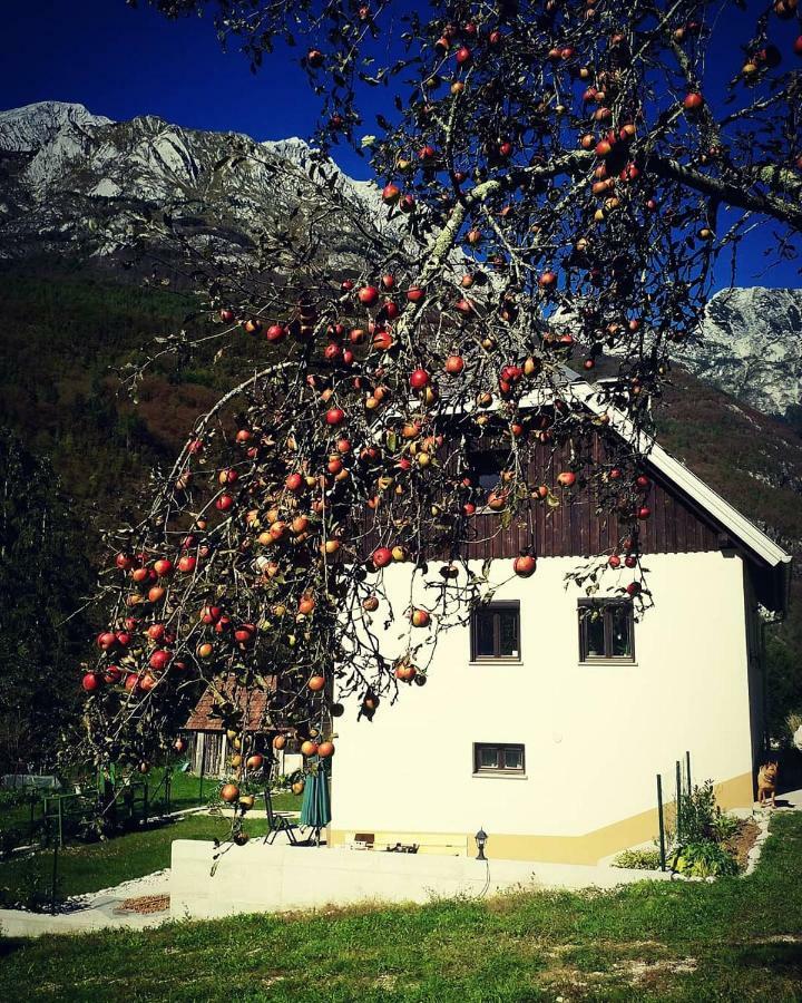 Apartmaji Katrc Appartement Soča Buitenkant foto