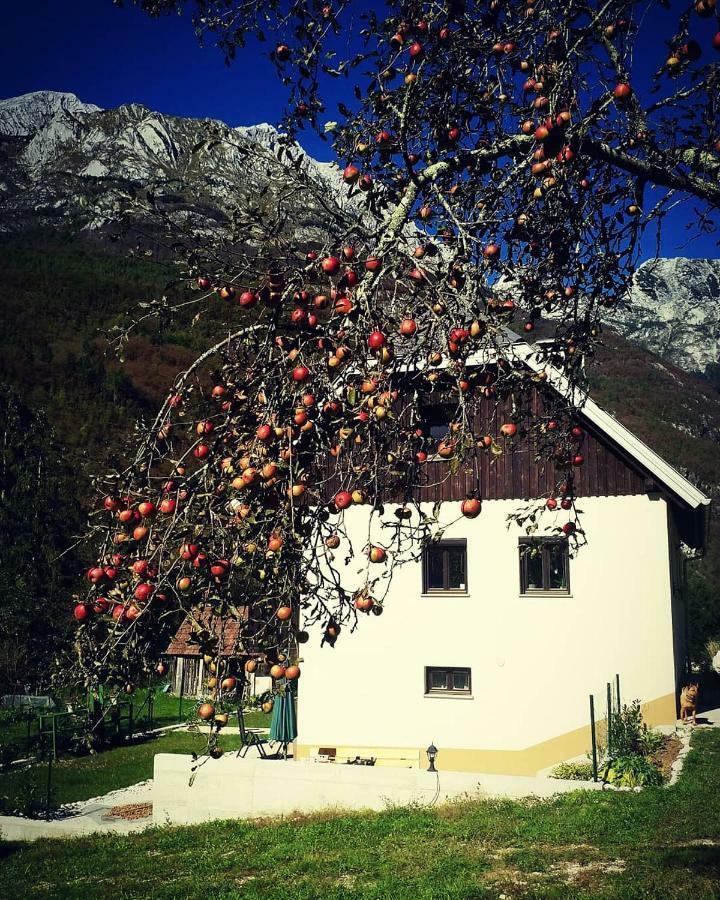 Apartmaji Katrc Soča Buitenkant foto