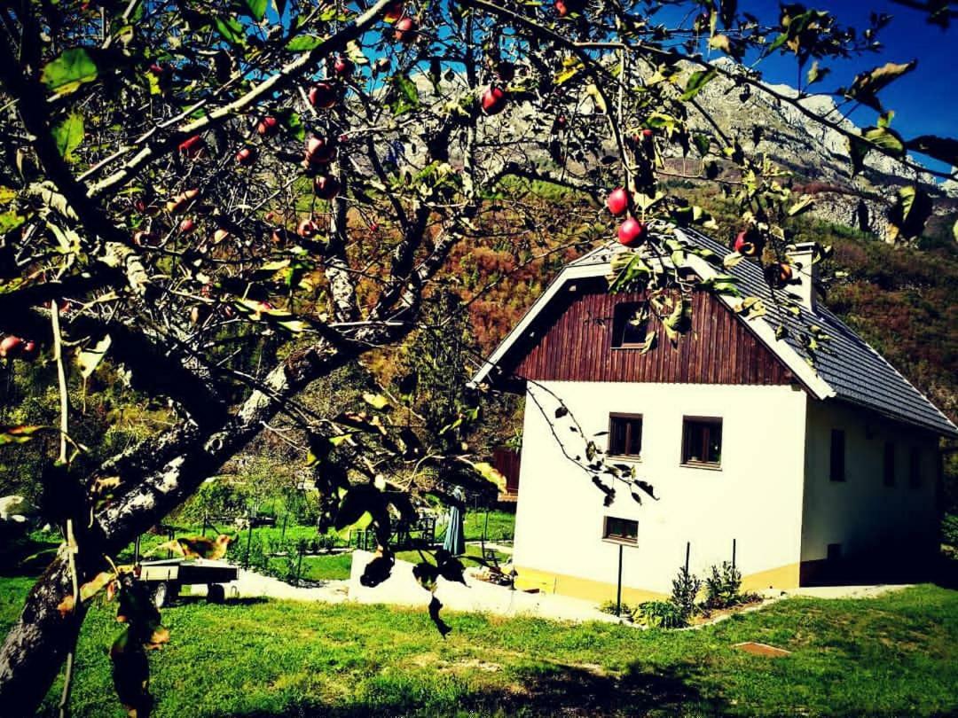 Apartmaji Katrc Appartement Soča Buitenkant foto