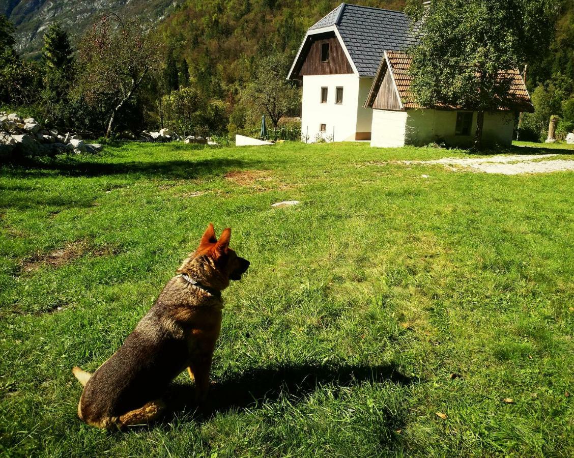 Apartmaji Katrc Appartement Soča Buitenkant foto